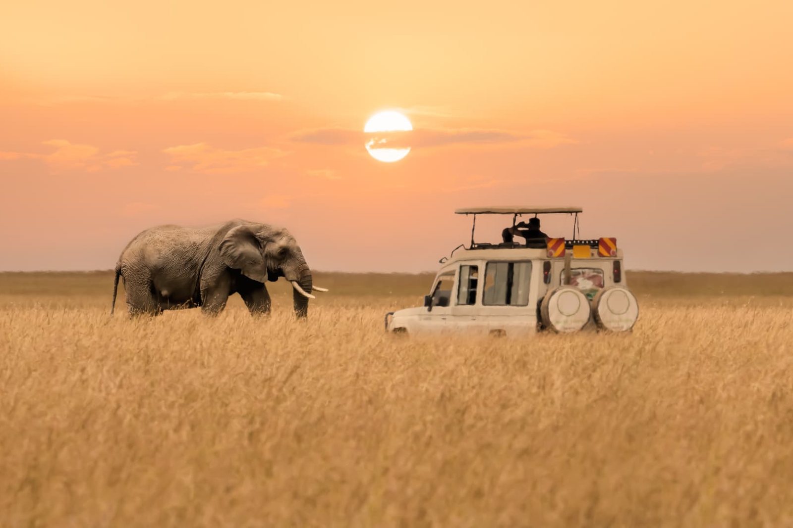 Safari vehicle silhouetted against a red Tanzanian sunset